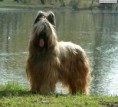 /album/fotogaleria/calinka-zhucienskiego-gaju-jpg/