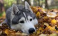 /album/fotogaleria/fje3ws-jpg/