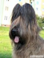 /album/fotogaleria/roxa-zpl-jpg1/